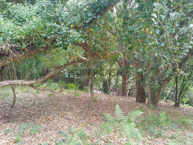Terreno venda em Enxidra, Colares