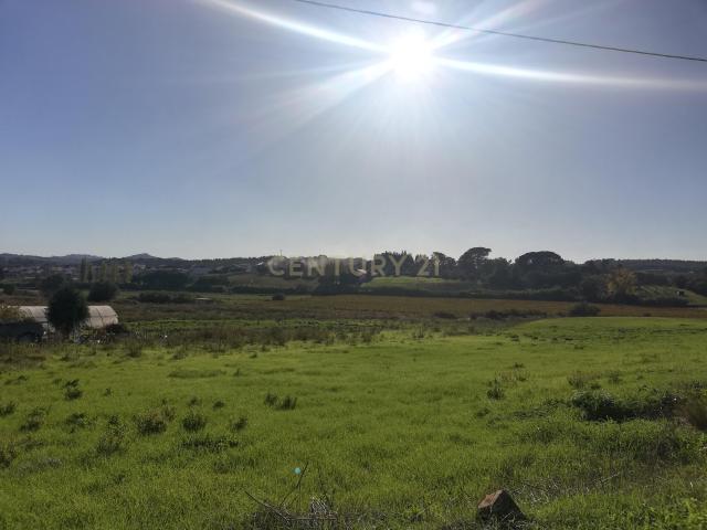 Terreno venda em Cadaval, Lisboa