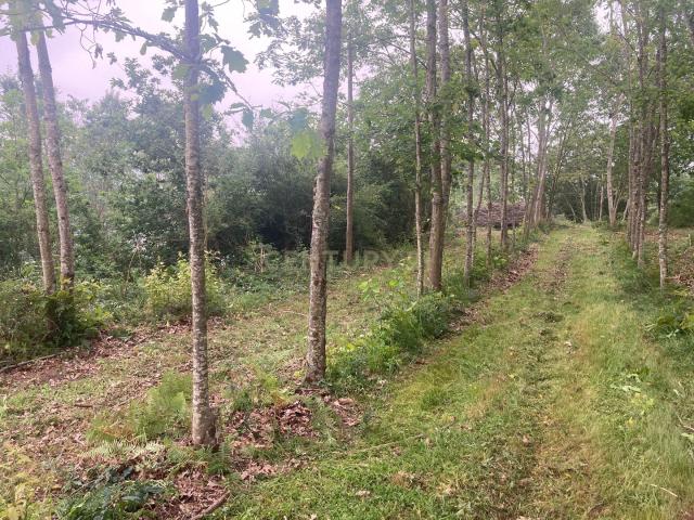Terreno venda em Marecos, Porto