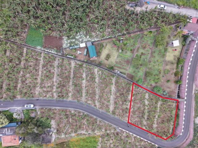Terreno venda em Arco Da Calheta, Ilha Da Madeira