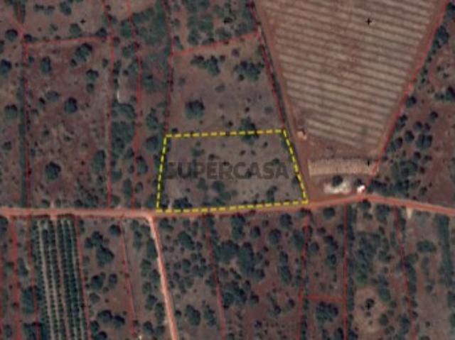 Terreno venda em São Bartolomeu De Messines, Faro