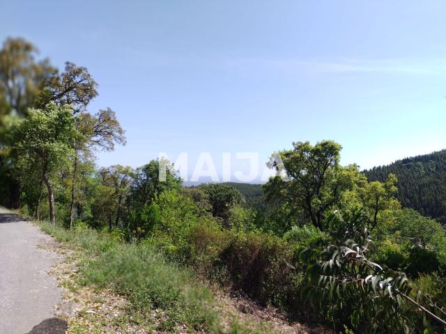 Terreno venda em Monchique, Faro