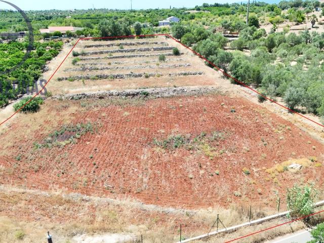 Terreno venda em Silves, Faro
