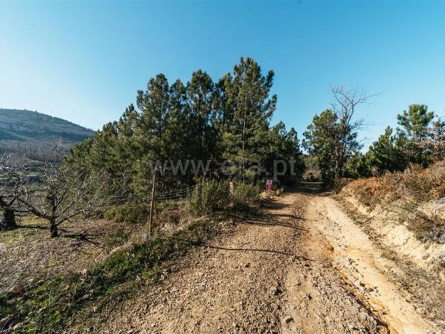 Terreno venda em Castelo Branco, Aldeia Nova Do Cabo