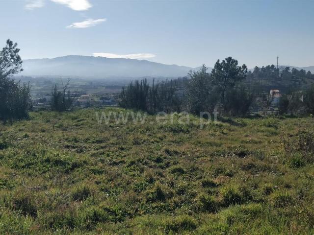 Terreno venda em Castelo Branco, Aldeia Nova Do Cabo
