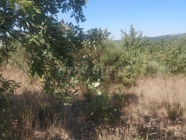 Terreno venda em Castelo Branco, Aldeia Nova Do Cabo