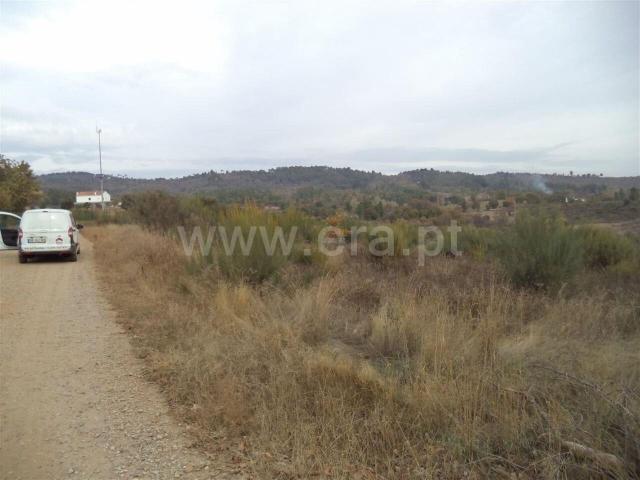 Terreno venda em Castelo Branco, Aldeia Nova Do Cabo