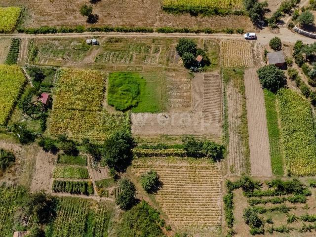 Terreno venda em Castelo Branco, Peraboa