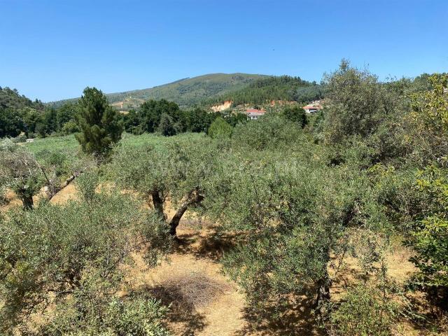 Terreno venda em Castelo Branco, Aldeia Nova Do Cabo