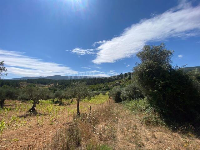 Terreno venda em Castelo Branco, Aldeia Nova Do Cabo