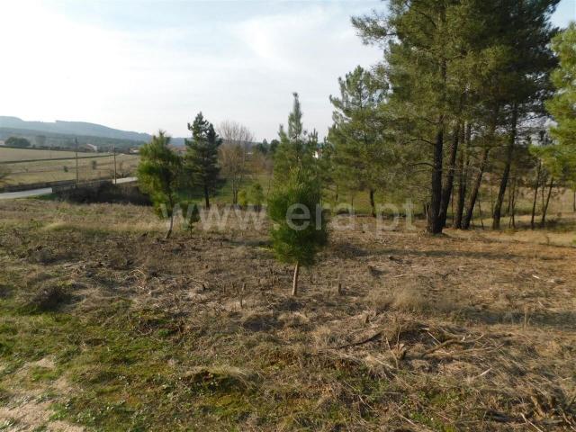 Terreno venda em Castelo Branco, Aldeia Nova Do Cabo