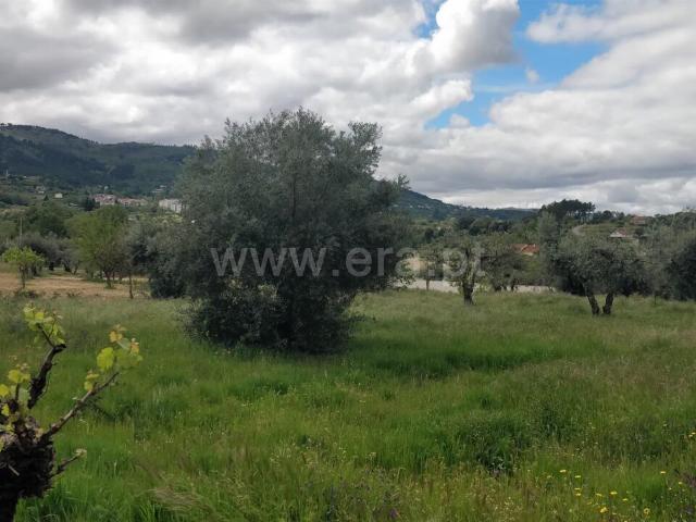 Terreno venda em Castelo Branco, Aldeia Nova Do Cabo