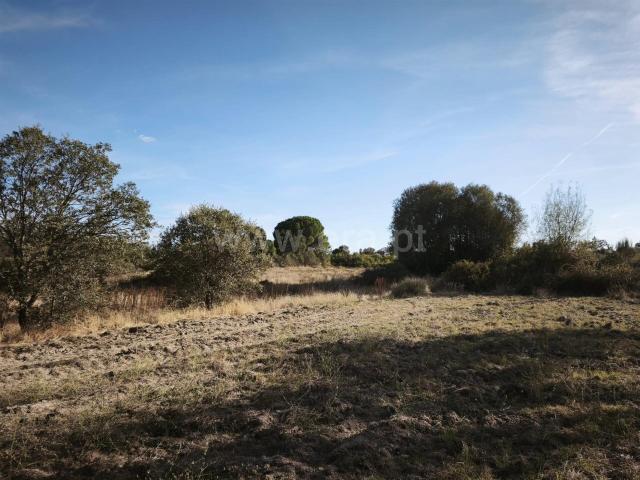 Terreno venda em Orca, Fundão