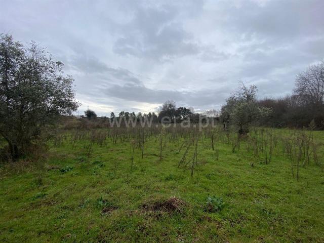 Terreno venda em Castelo Branco, Aldeia Nova Do Cabo