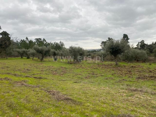 Terreno venda em Castelo Branco, Aldeia Nova Do Cabo