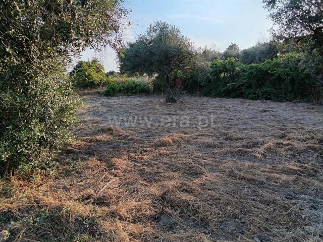 Terreno venda em Castelo Branco, Aldeia Nova Do Cabo