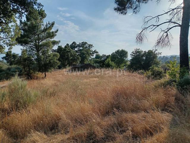 Terreno venda em Castelo Branco, Aldeia Nova Do Cabo
