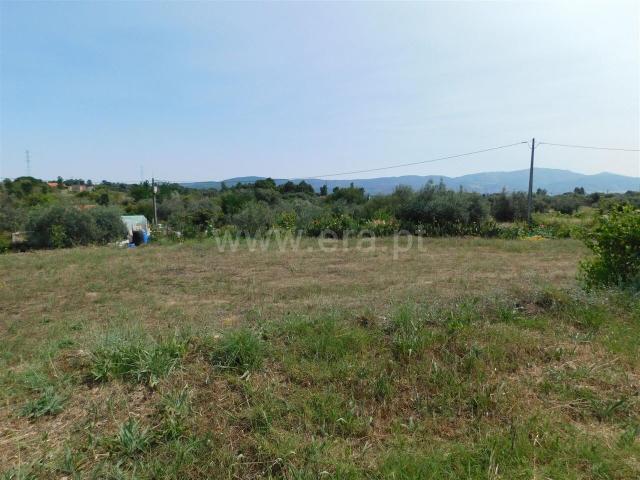 Terreno venda em Castelo Branco, Aldeia Nova Do Cabo