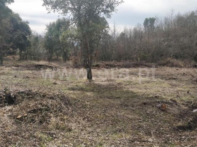 Terreno venda em Castelo Branco, Aldeia Nova Do Cabo