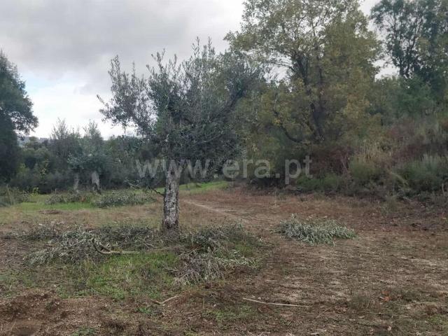 Terreno venda em Ribeira da Azenha, Odemira