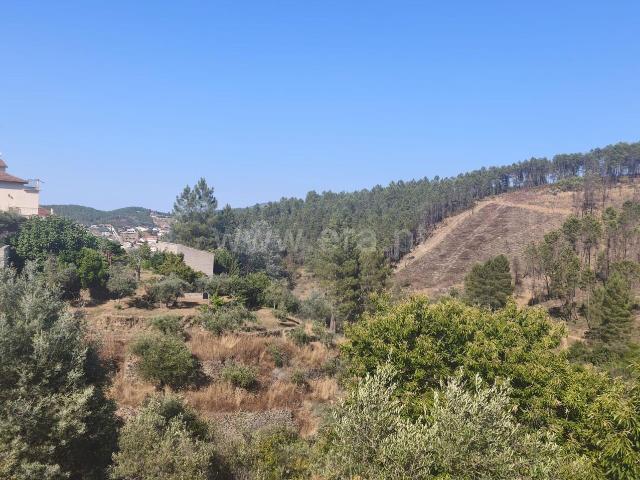 Terreno venda em Castelo Branco, Aldeia Nova Do Cabo