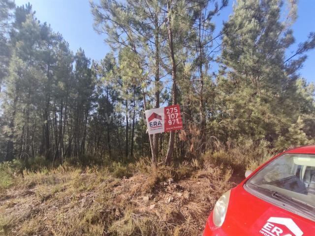 Terreno venda em Castelo Branco, Aldeia Nova Do Cabo