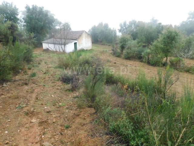 Terreno venda em Castelo Branco, Aldeia Nova Do Cabo