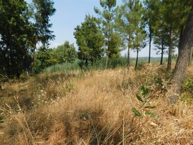 Terreno venda em Castelo Branco, Aldeia Nova Do Cabo