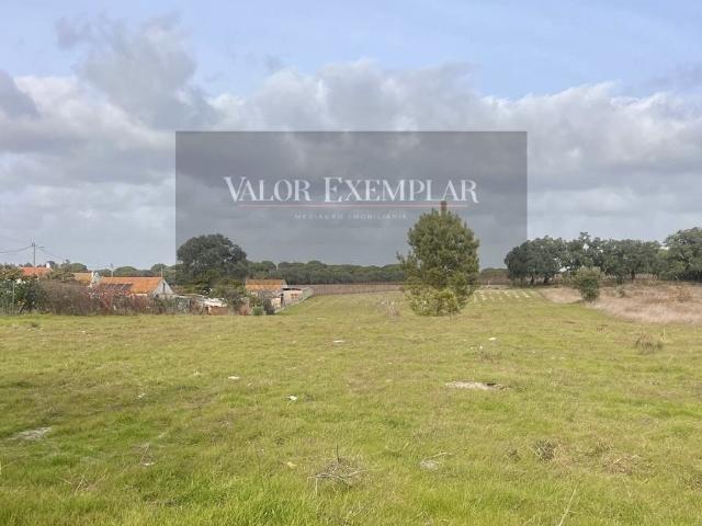 Terreno venda em Gâmbia-Pontes-Alto da Guerra, Setúbal