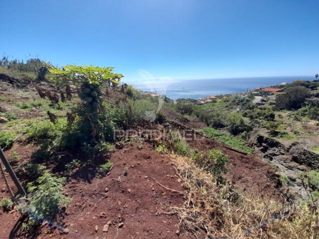 Terreno venda em Santa Cruz