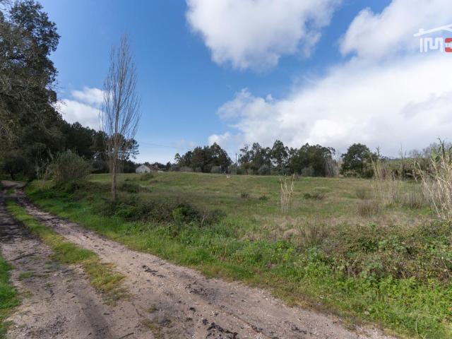 Terreno venda em Abrantes, Santarém