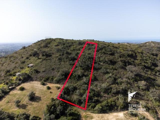 Terreno venda em Faro