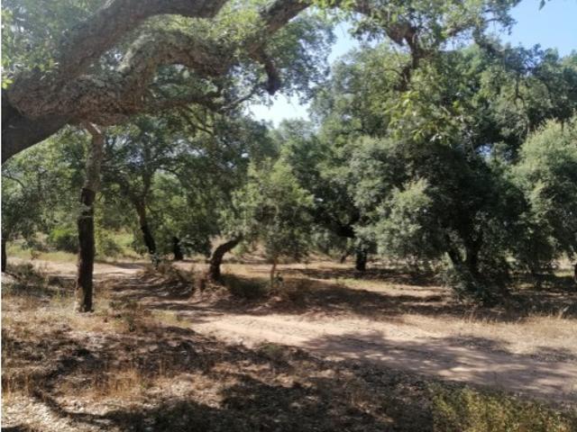 Terreno venda em Grândola, Setúbal