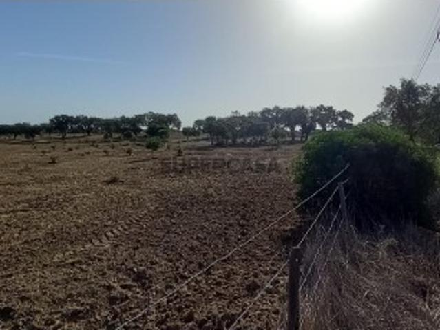 Terreno venda em Palmela, Setúbal