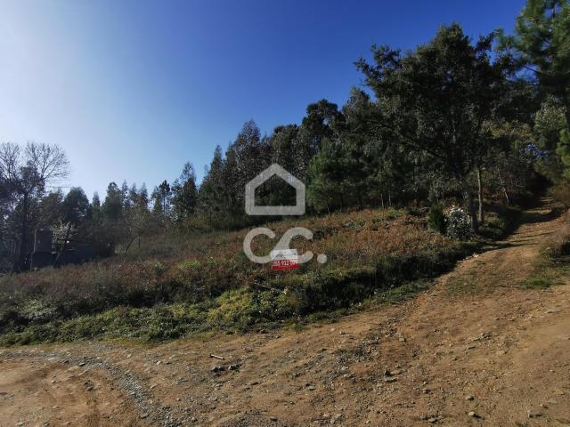 Terreno venda em Felgueiras, Idães