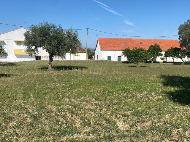 Terreno venda em Castelo Branco