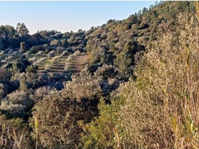 Terreno venda em Casal do João Dias, Torres Novas