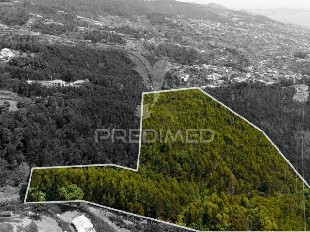 Terreno venda em Santa Cruz