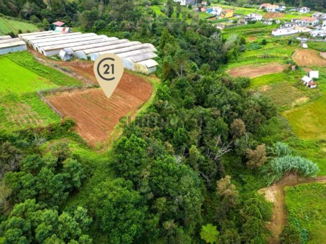 Terreno venda em Santana, Ilha Da Madeira