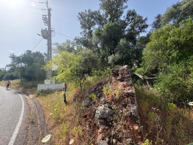 Terreno venda em Ponte de Salir, Loulé