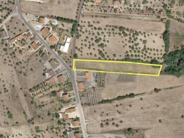 Terreno venda em Madalena e Beselga, Tomar