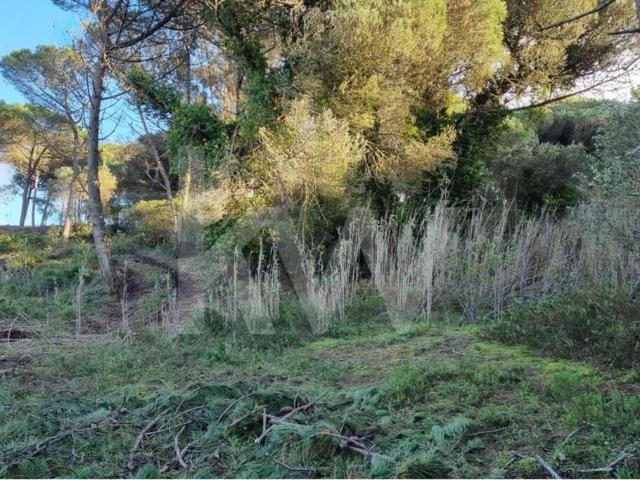 Terreno venda em Janas, Sintra