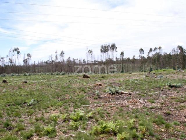 Terreno venda em Assilhó, Albergaria-a-velha