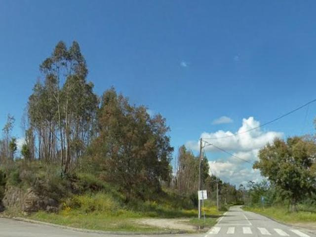 Terreno venda em Carregal Do Sal, Viseu
