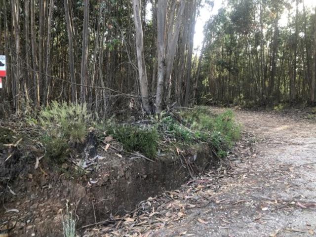 Terreno venda em Figueiró Dos Vinhos, Leiria