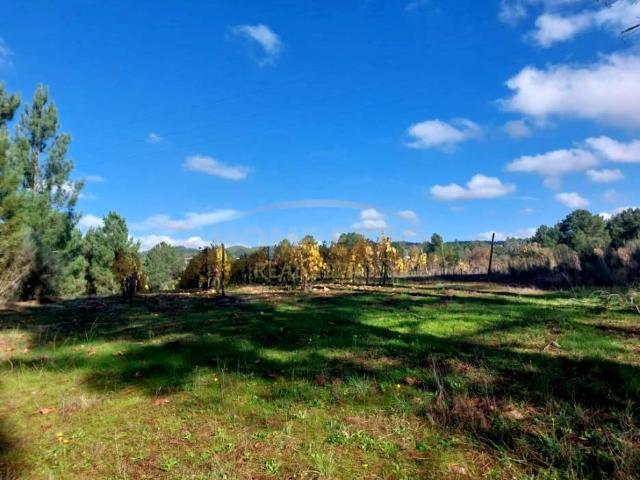 Quinta venda em Covelo Do Gerez, Vila Real