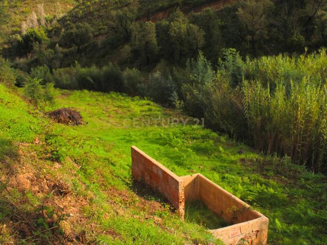 Terreno venda em Monchique, Faro