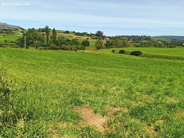 Local Comercial en venta en Penagos, Cantabria