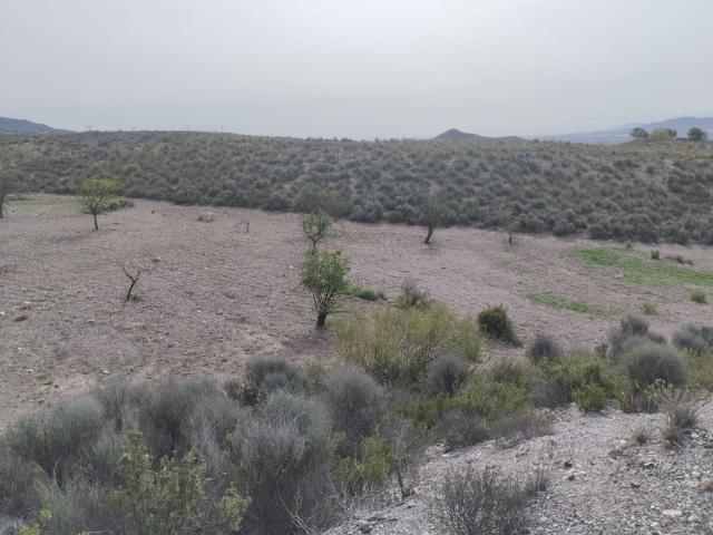 Terreno en venta en Virgen de las Huertas, Alto Guadalentín