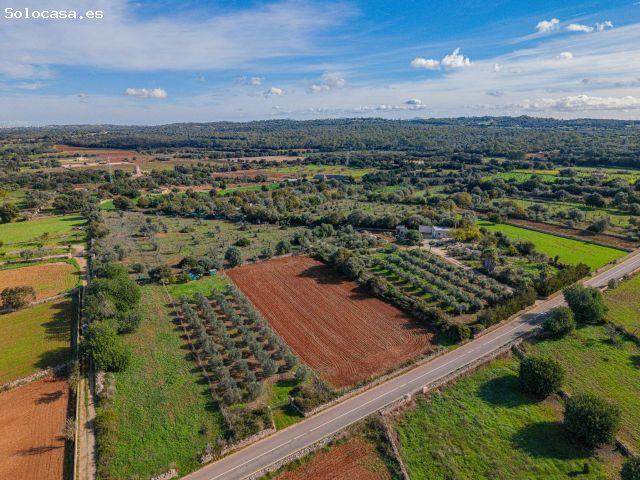 Local Comercial en venta en Pla de Mallorca, Baleares